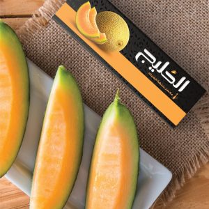 طالبی برند خلیج